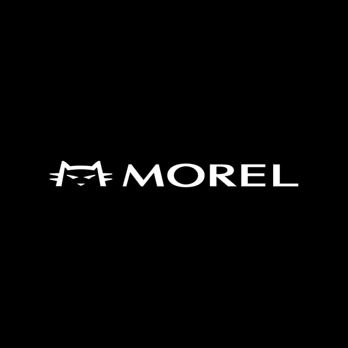 Morel