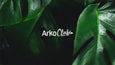ArkoClub, le programme de fidélité d'Arkopharma par Unique Paris X Splio X Shopify Plus